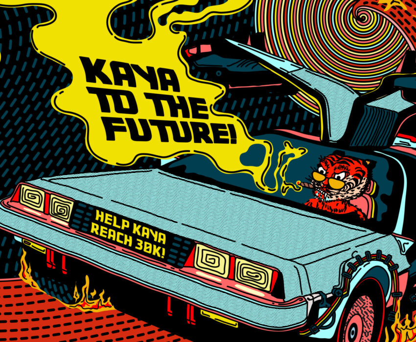 Kaya to the Future: Help Kaya raise $36,0000!