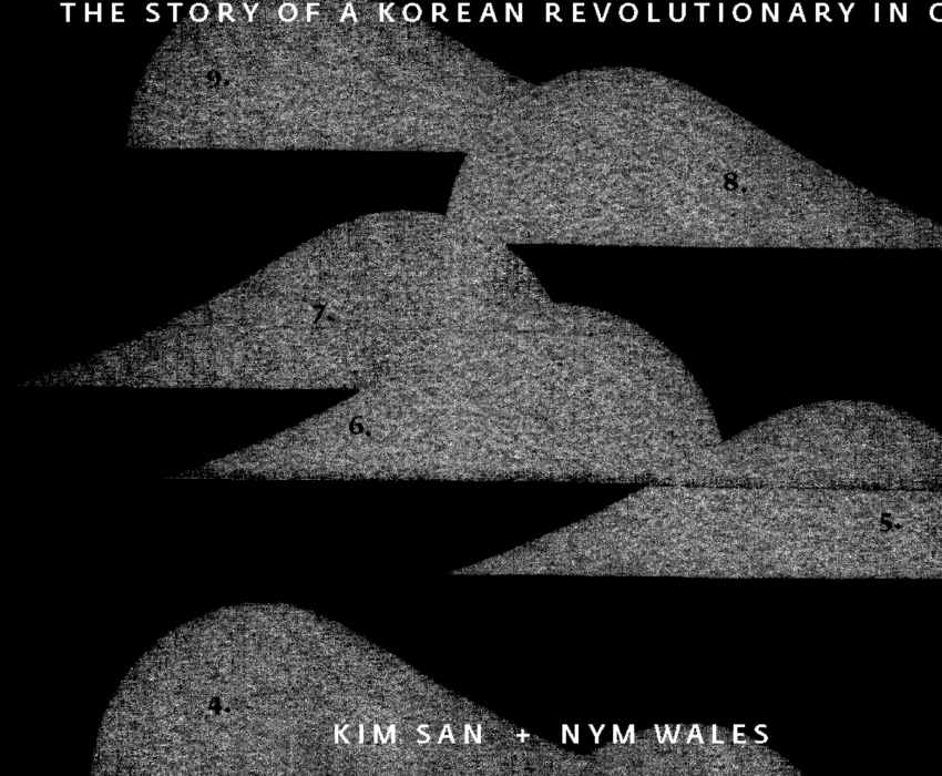 Radical Histories: A Roundtable of Korean/American Authors